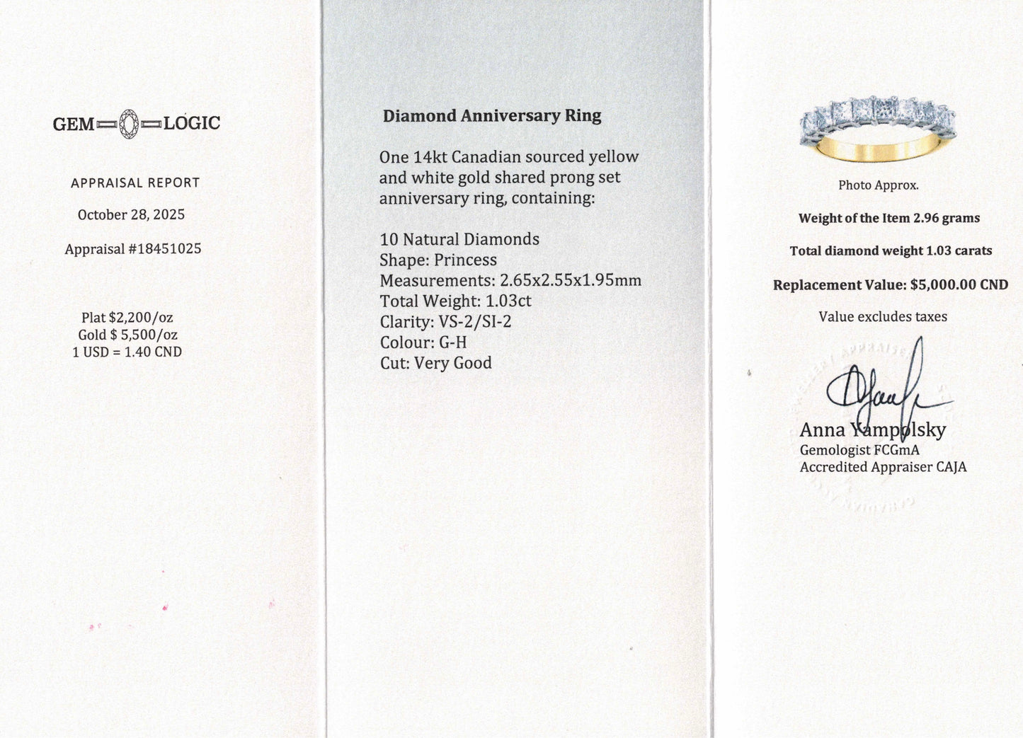 1.03 Carat Princess Cut Diamond Band